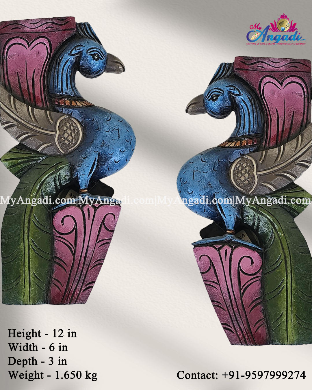 Vagai Wood Parrot Wooden Wall Brackets