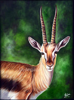 Deer Oil Paintings